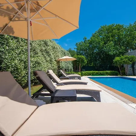 Eroglu * 费特希耶