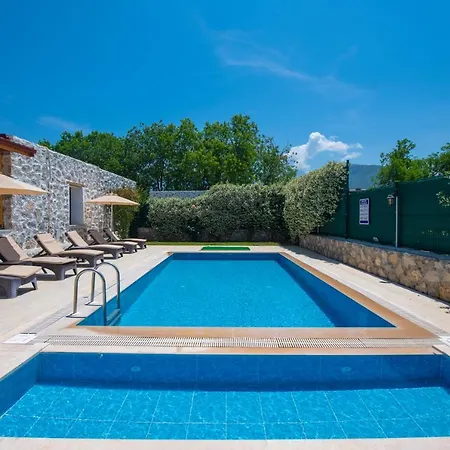 别墅 Eroglu 费特希耶