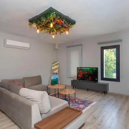 Eroglu 别墅 费特希耶