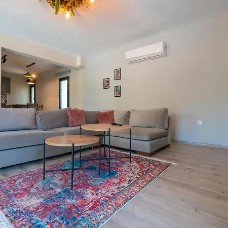 别墅 Eroglu 费特希耶