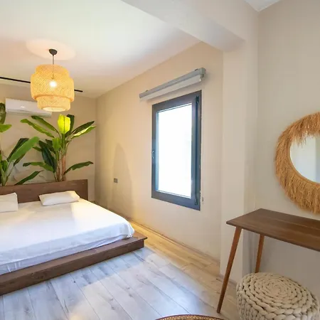 Eroglu 别墅 费特希耶