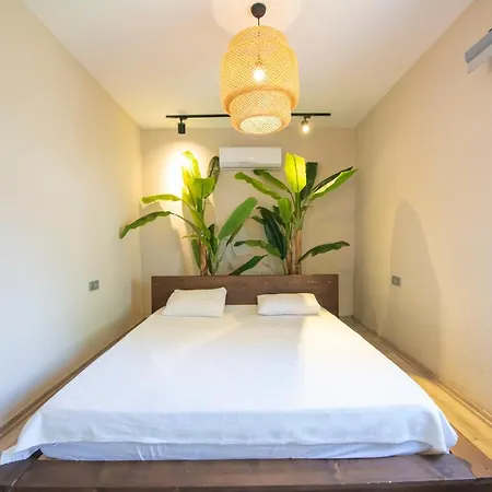 Villa Eroglu *